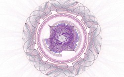 2014 04 30 Webs and Things 20-white.jpg